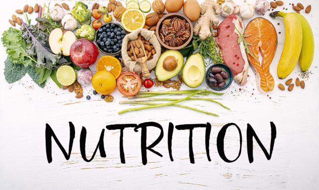The Vital Importance of Nutrition in Human Development
