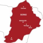 Tragic Incident: Terrorist Explosion Claims Lives of Seven Civilians in Borno