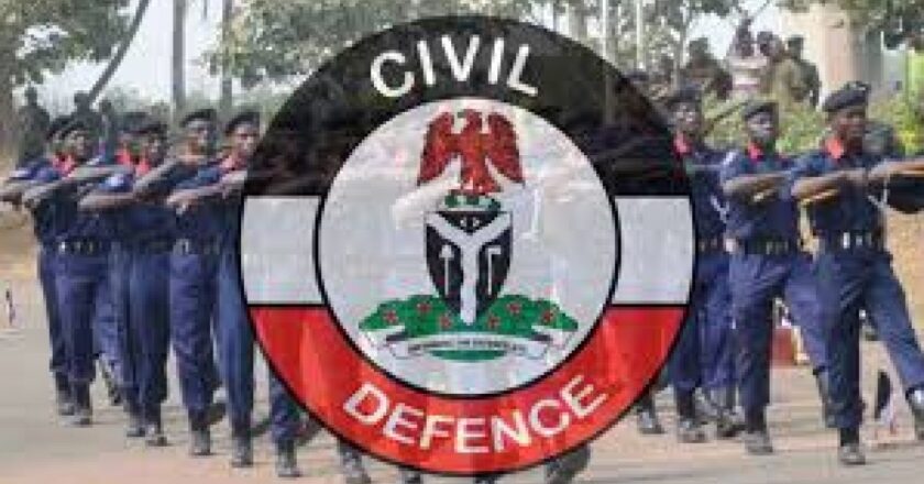 Three Suspected Vandals and Cable Thieves Arrested in Abuja by NSCDC