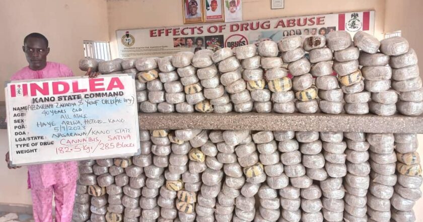 NDLEA Intercepts Meth and Skunk Concealed in Tomato Pastes and Clothes at Lagos Airport