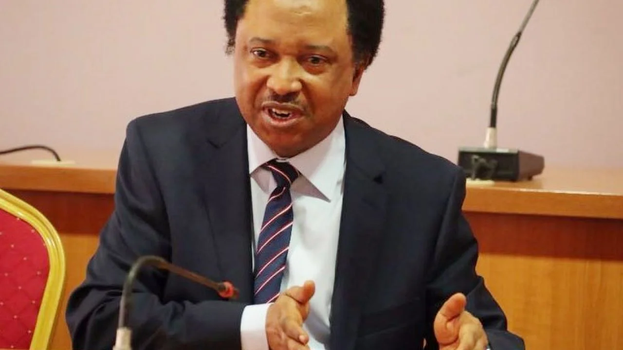 Shehu Sani: Electoral Reforms Leading to Downfall