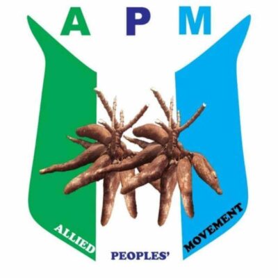 New Osun logo waste of taxpayers’ money – APM