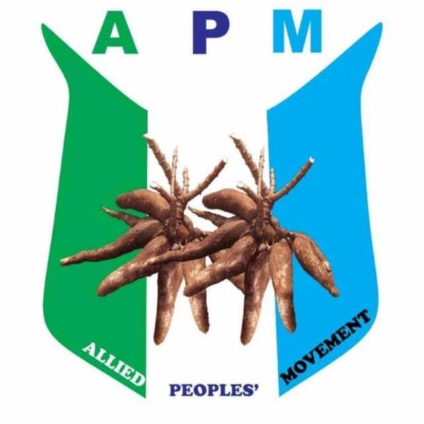 APM Criticizes New Osun Logo as a Misuse of Public Funds