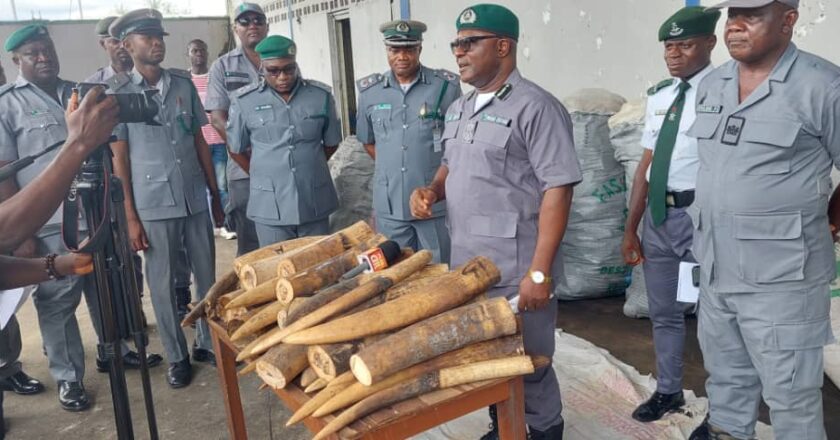 Customs officials seize N680m worth of elephant tusks and other contraband