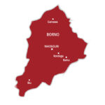 Six killed as suicide bomber attacks wedding in Borno