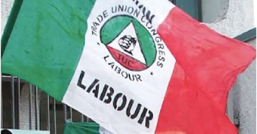 Organised labour protest leads to disruption at YEDC offices in Taraba due to electricity tariff increase