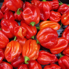7 Amazing Health Benefits of Eating Peppers
