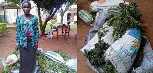 Woman Arrested With 40kg Cannabis Hidden In Vegetables In Edo State [Photos]