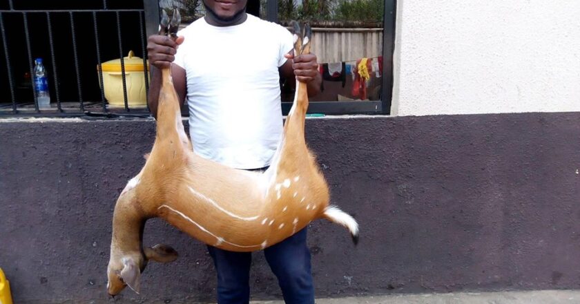 Excited Man Shows Off His Skill After Hunting Expedition in Owerri, Imo State[Photos]
