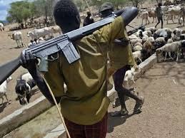 13 dies as herdsmen lunched a shocking attack in plateau state.