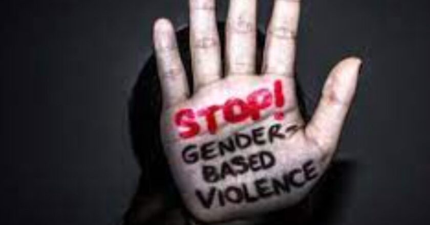 Concern Over Increasing Incidents of Gender-Based Violence in Zamfara
