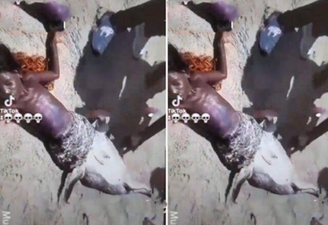 “Reactions to the Appearance of a Child Mermaid on a Beach” [Video]