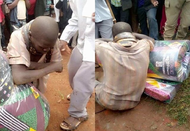 More Photos of a Man “Arrested” By Snake after Stealing a Mattress