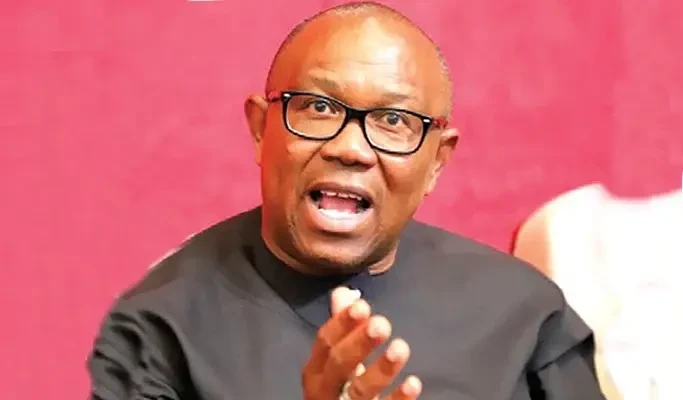 Allegations of Opposition Parties Misusing Name, Party Name, and Supporters, Made by Peter Obi