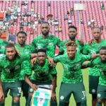 Super Eagles to welcome new coach within a fortnight