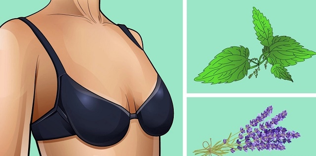 Use These Two Ingredient At Home to Tighten a Saggy B.r.e.a.s.t.s within 14 Days
