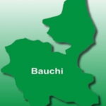 Friend stabs Bauchi teenager to death