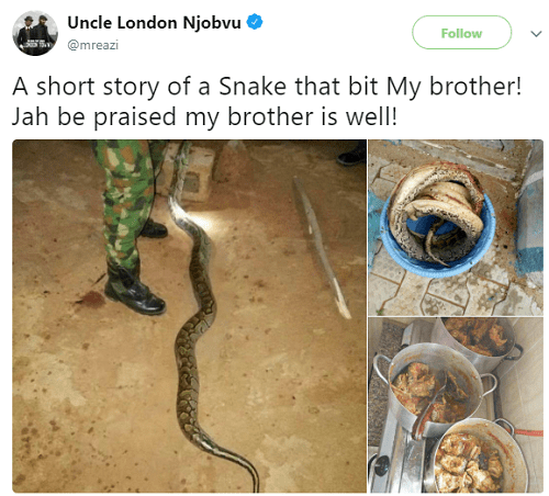 You Need To See What A Nigerian Soldier Did To A Huge Snake That Bit Him [Photos]