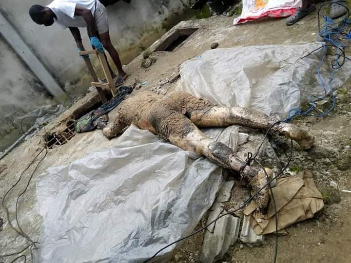 Shoe dealer who kidnaps and kills his suppliers arrested in Rivers state (graphic photos)