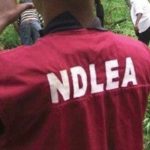 NDLEA arrests 150 drug traffickers in Nasarawa