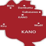 Police nab 149 suspects for alleged robbery, thuggery in Kano