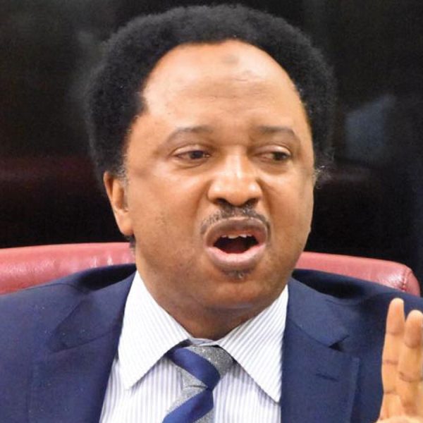 In the eyes of Shehu Sani, a minimum wage of N48,000 is akin to an Almajiri offer by the Nigerian government