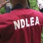 NDLEA in Kano seizes 230,600 Tramadol tablets and apprehends 106 suspects