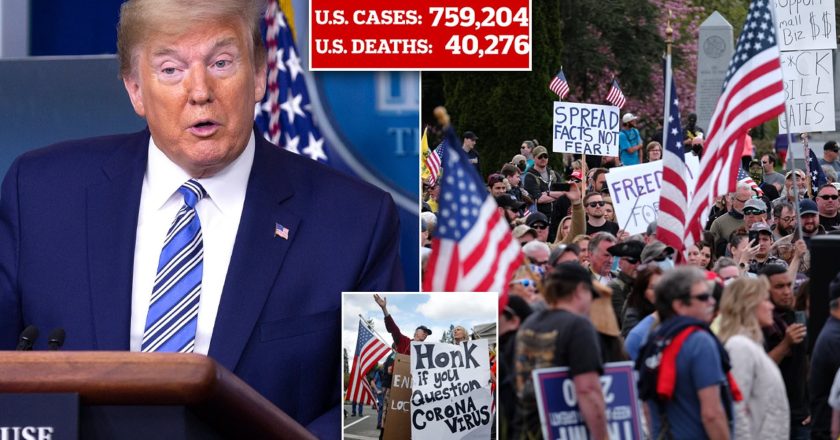 ‘They just want their lives back!’ Donald Trump supports thousands of protesters demanding an end to the Coronavirus lockdown