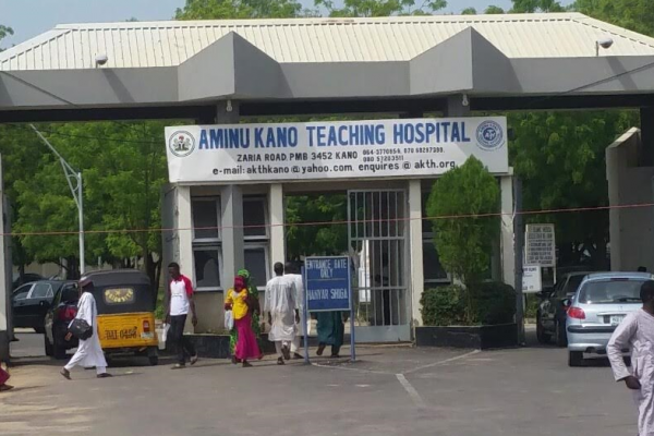 10 doctors in Kano test positive for Coronavirus after treating infected patients