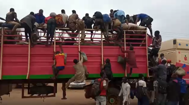 40 men from Zamfara hidden inside a truckload of cows intercepted in Lagos  (photos)