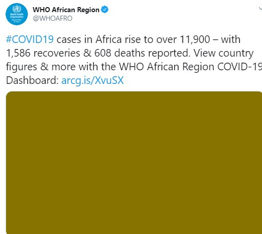  COVID-19 cases in Africa rise to over 11,900 with 608 deaths ? WHO