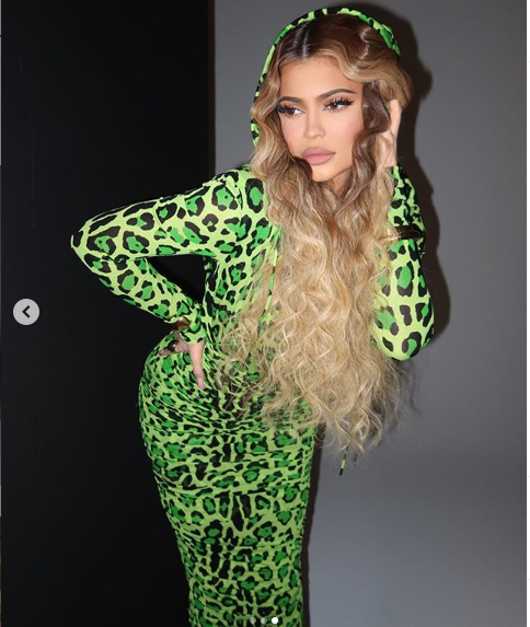 Kylie Jenner strikes suggestive poses in a neon green leopard print dress (Photos)