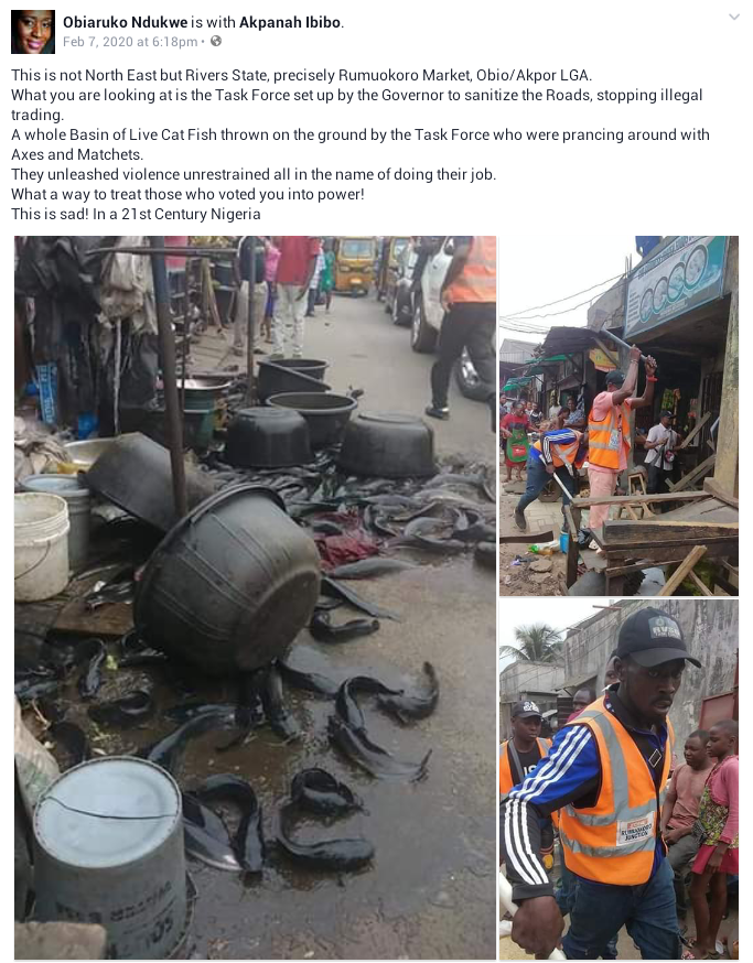 Rivers State Task Force destroys illegal market, scatters bowls of live cat fish, food