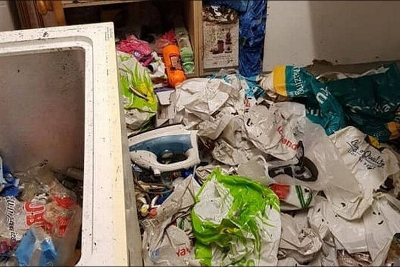 Landlord in tears after he saw the condition tenants left his house in (photos)