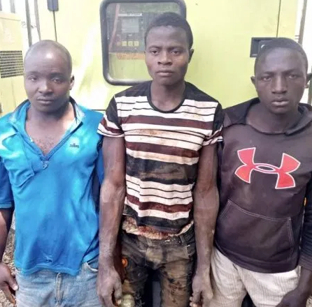 Three Ansaru Members Apprehended in Kaduna