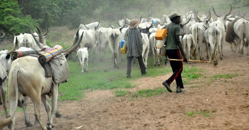 Four Fulani herdsmen arrested for raping four sisters