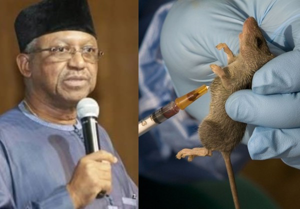 41 killed by Lassa Fever in 19 states – Minister of Health, Osagie Ehanire