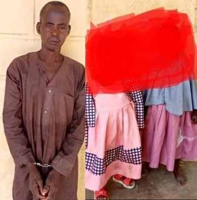 Yobe Police Arrest 66-Year-Old Man for Allegedly Using Chocolate to Lure and Rape Little Girls