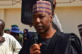 Borno State Governor Makes Unique Appointments of Special Advisers