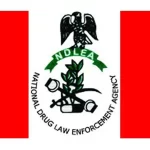 NDLEA’s special squads combat open sale and consumption of drugs in FCT