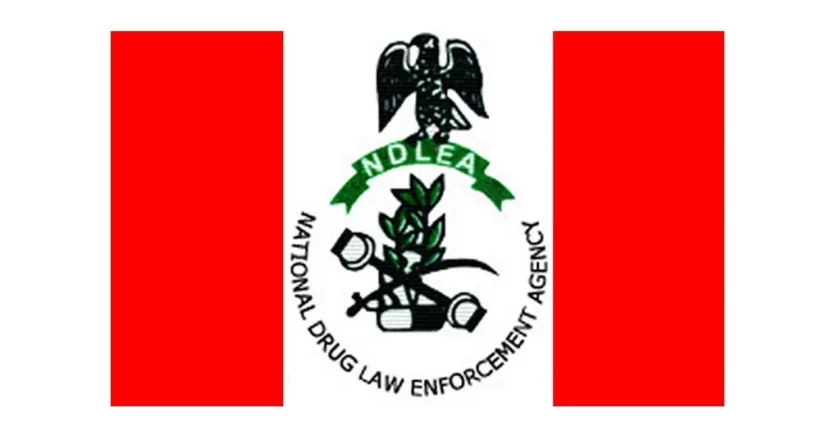 NDLEA’s special squads combat open sale and consumption of drugs in FCT