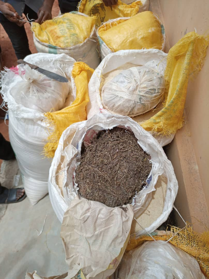 Cannabis hidden in sacks of garri intercepted by NDLEA 