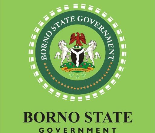 Insight from Borno State Government on a Controversial Death Linked to Coronavirus