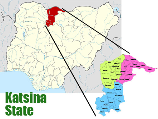 Coronavirus: Katsina begins house-to-house search for Lagos, Abuja returnees