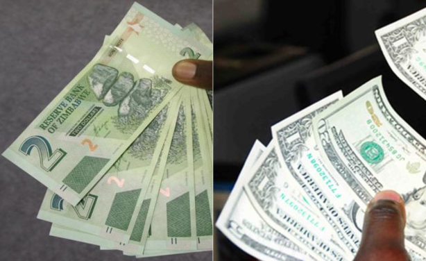 US dollar reintroduced in Zimbabwe due to coronavirus impact
