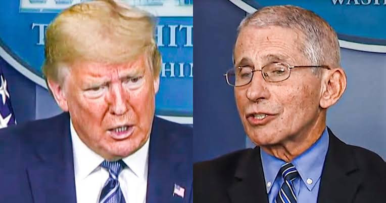 Covid-19: Trump suggests firing CDC head Dr Fauci after he said lives would have been saved if the President followed his advice to shut US down in February