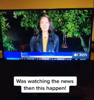 Cute or disrespectful? Opinions divided as husband crashes wife's live news report as she broadcasts from their backyard due to Coronavirus lockdown (video)