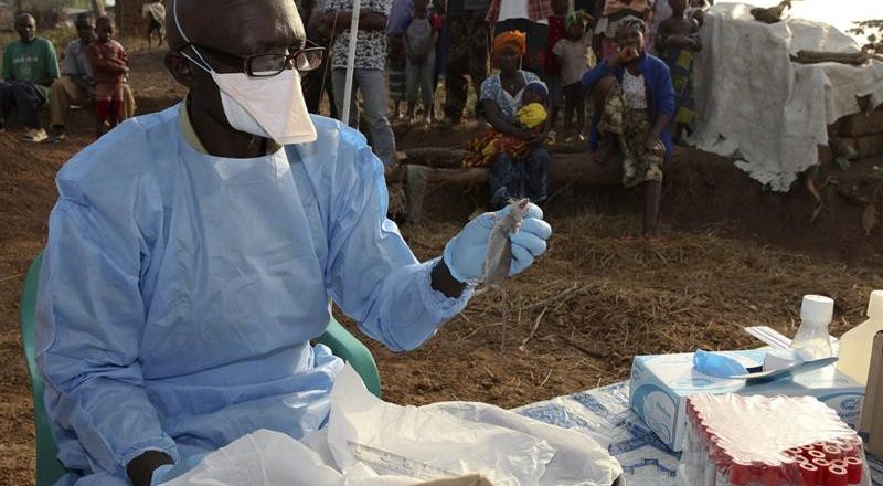 Recorded Death Toll from Lassa Fever Reaches 118 in Nigeria