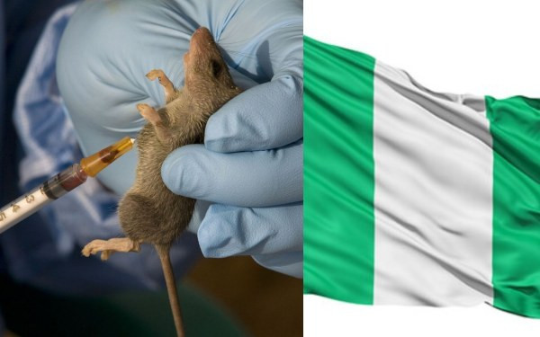 Emergency phase for Lassa Fever outbreak is over – NCDC