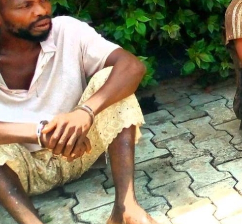 <article>
  Herbalist arrested with human parts in Ondo (photo)